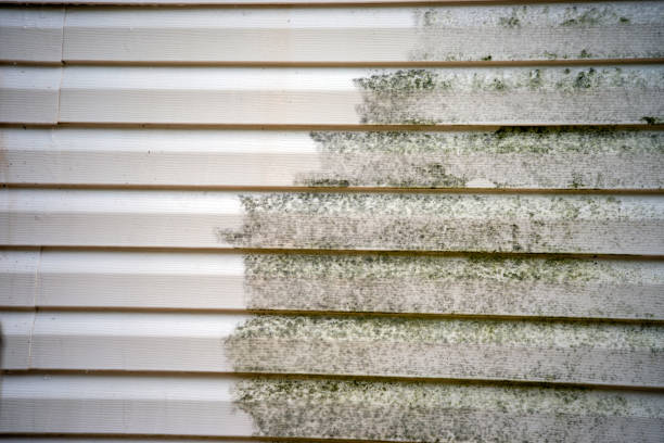Best Demolition Debris Removal  in East Pasadena, CA